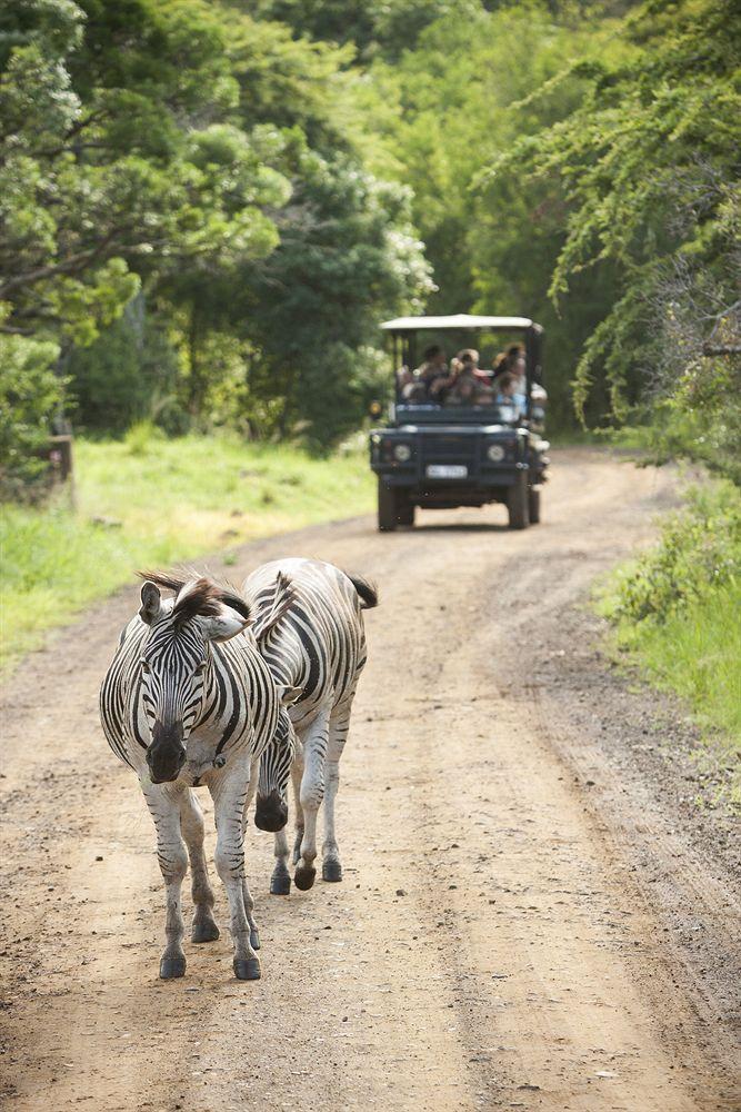 Zululand Safari Lodge Hluhluwe Exterior foto